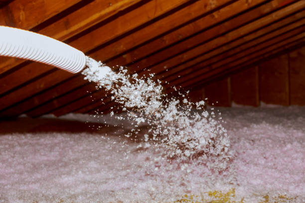 Best Specialized Insulation Services in Virginia, IL
