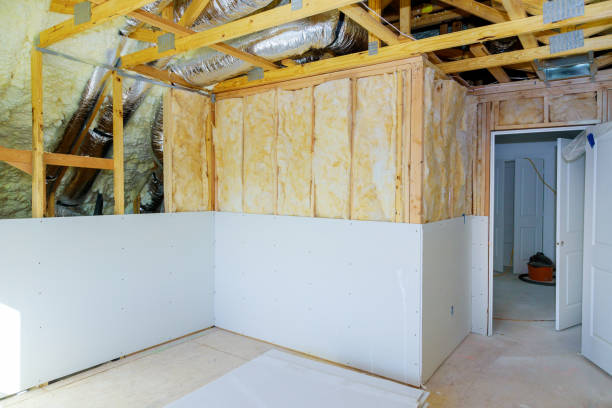 Best Eco-Friendly Insulation in Virginia, IL