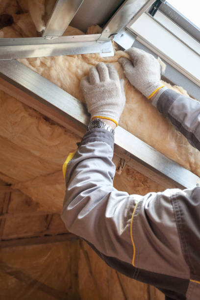 Types of Insulation We Offer in Virginia, IL
