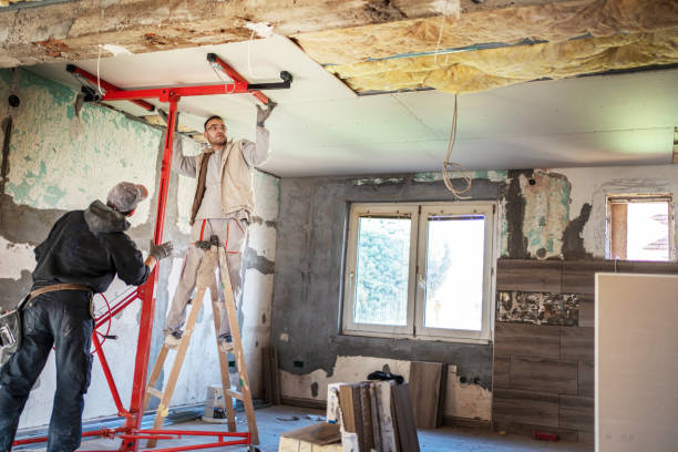 Best Commercial Insulation in Virginia, IL