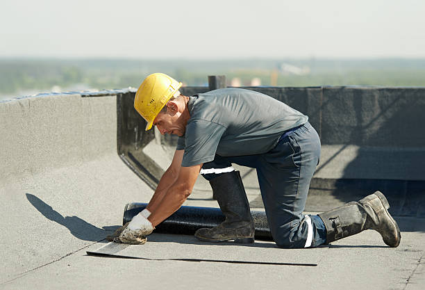 Best DIY Insulation Kits and Guidance in Virginia, IL