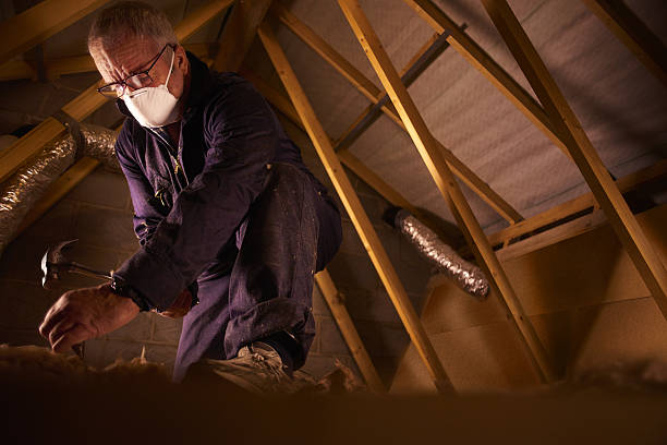 Best Energy Efficiency Insulation in Virginia, IL